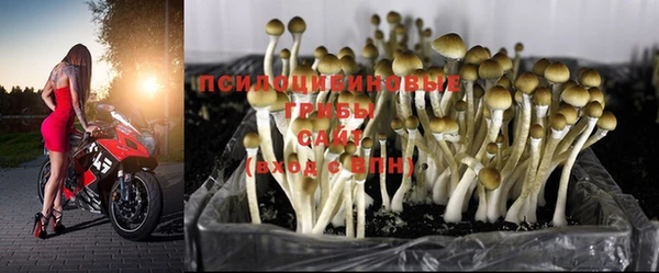 каннабис Аркадак
