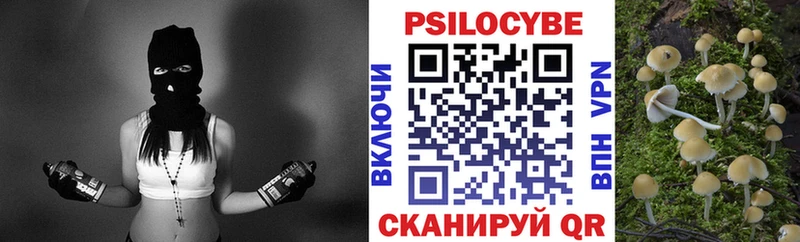 Галлюциногенные грибы GOLDEN TEACHER  Тында 