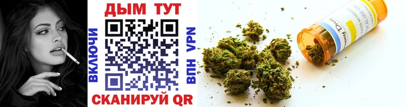 МАРИХУАНА гибрид  где можно купить   Тында 